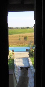 Il Mandorlo: farmhouse in Cortona, Tuscany - Italy